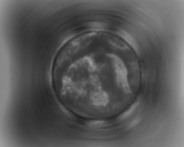 X0000092090845200709262122