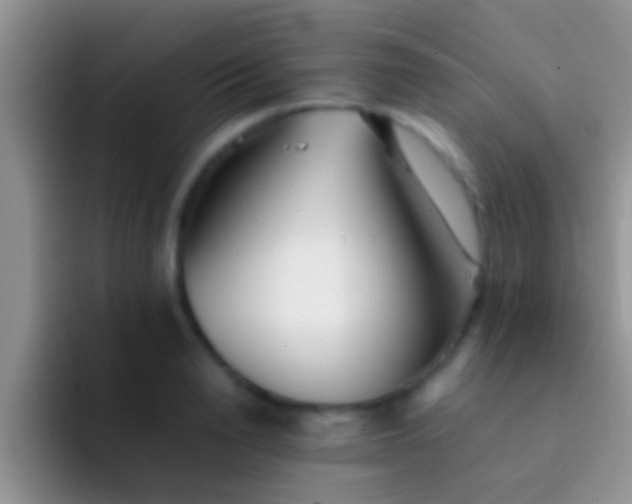 X0000092090846200709262122