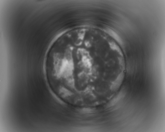 X0000092090847200709262122