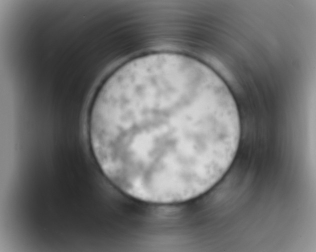 X0000092090848200709262122