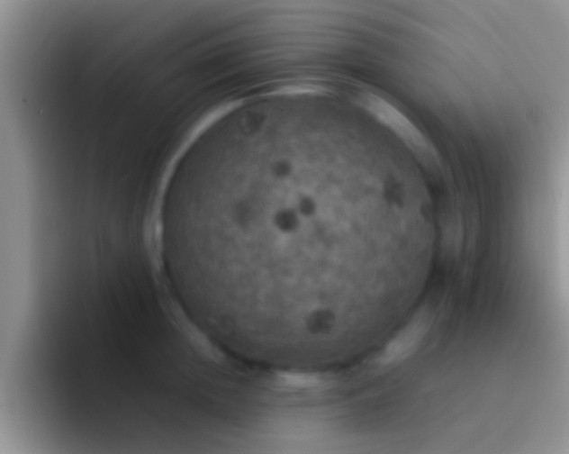 X0000092090852200709262122