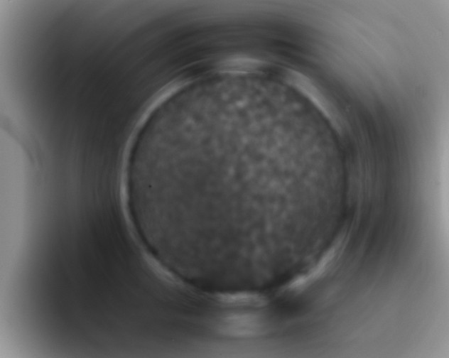 X0000092090853200709262122