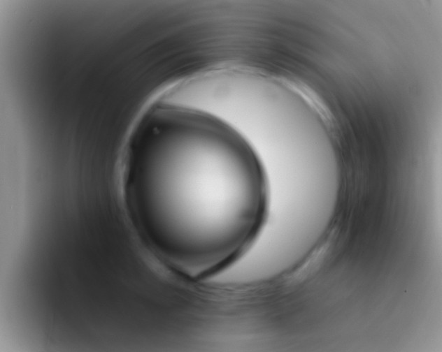 X0000092090854200709262122