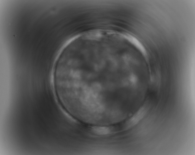X0000092090855200709262122