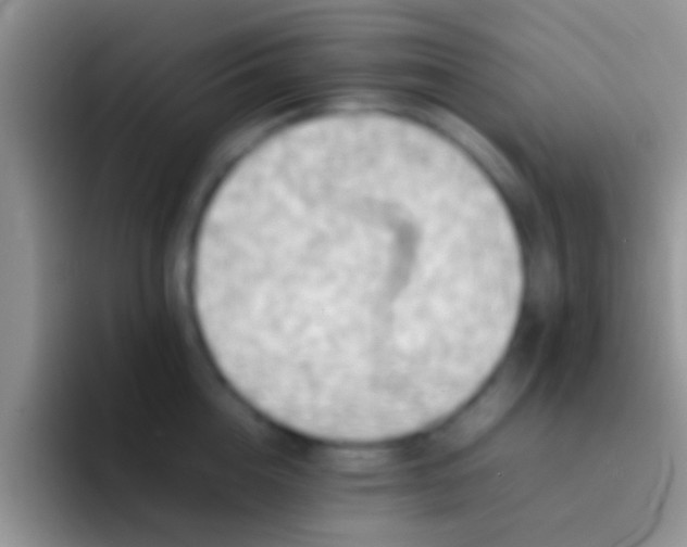 X0000092090856200709262122