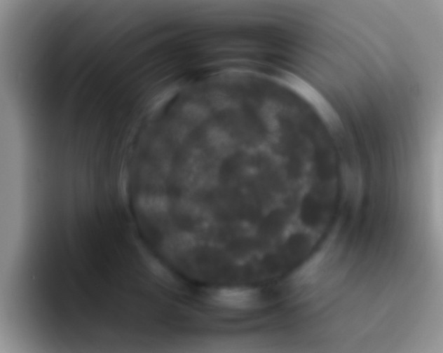 X0000092090857200709262122