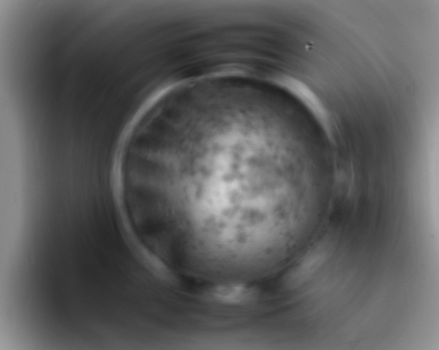 X0000092090859200709262122