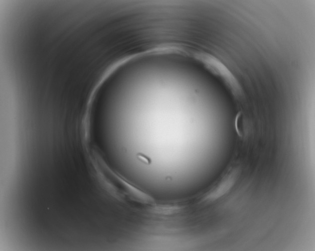 X0000092090860200709262122