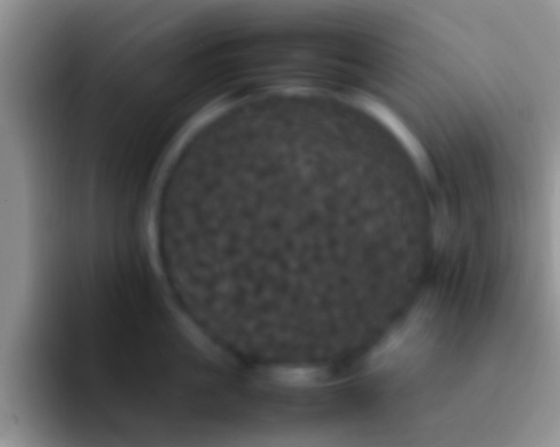 X0000092090861200709262122