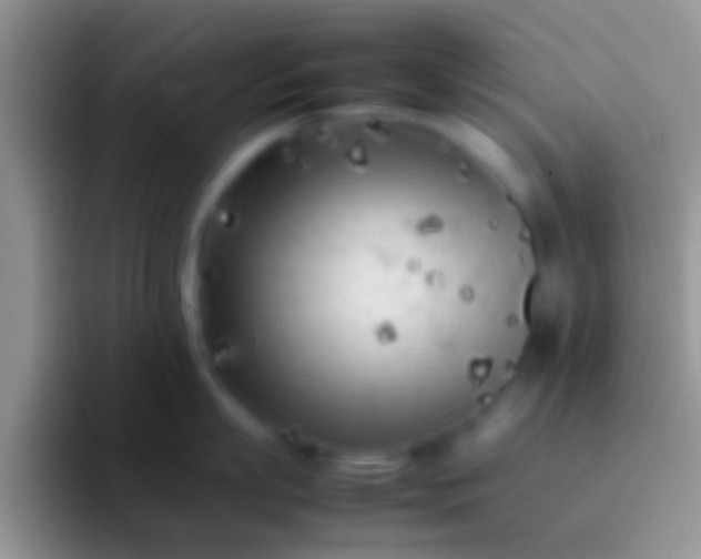 X0000092090863200709262122