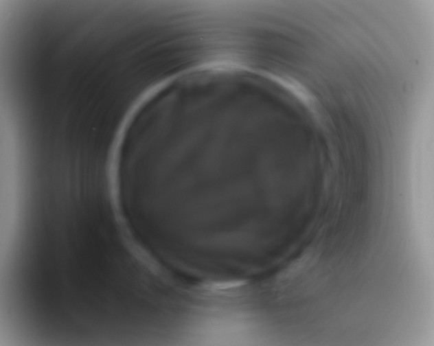 X0000092090864200709262122