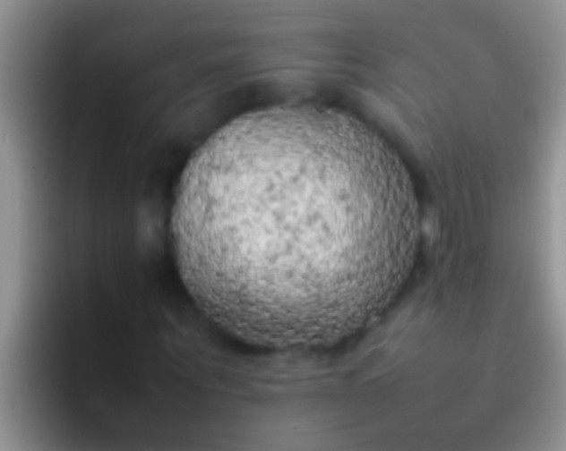 X0000092090867200709262121