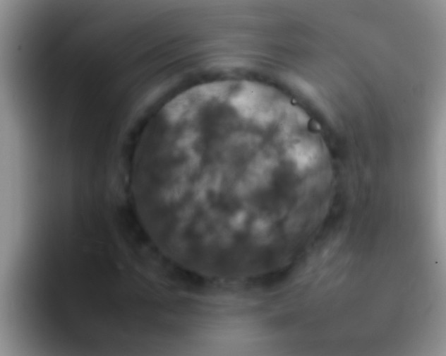 X0000092090871200709262121