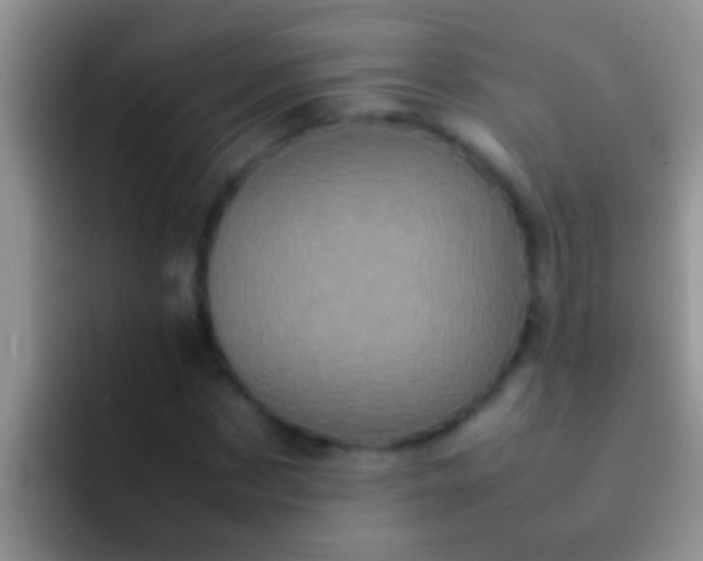 X0000092090873200709262121