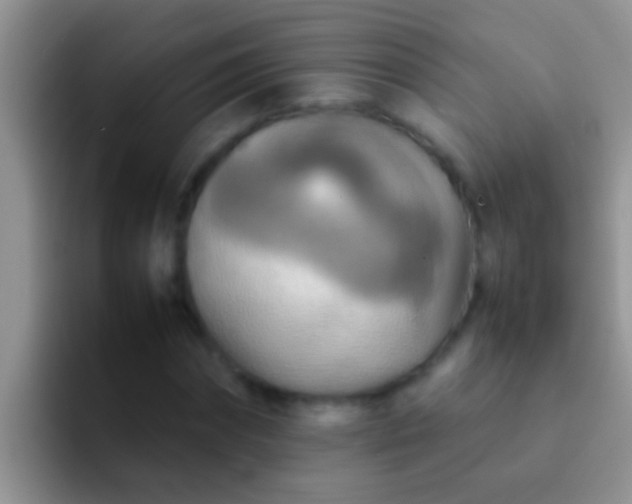 X0000092090874200709262121