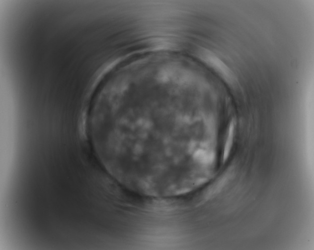 X0000092090875200709262121