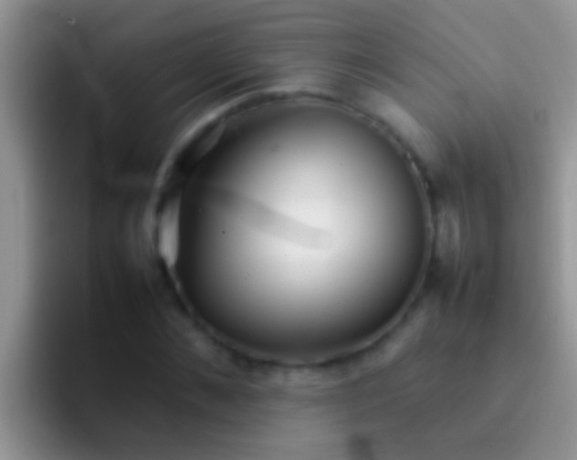 X0000092090876200709262121