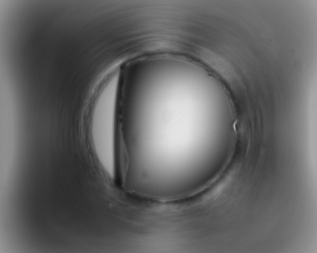 X0000092090877200709262121
