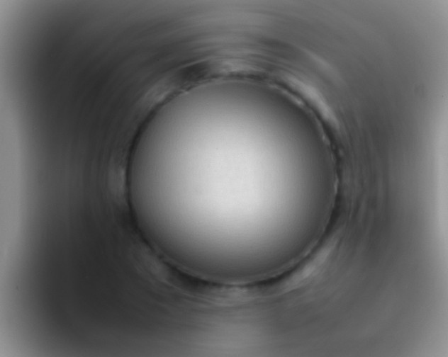 X0000092090881200709262121