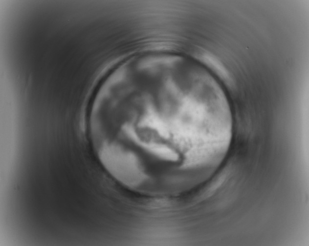 X0000092090883200709262121
