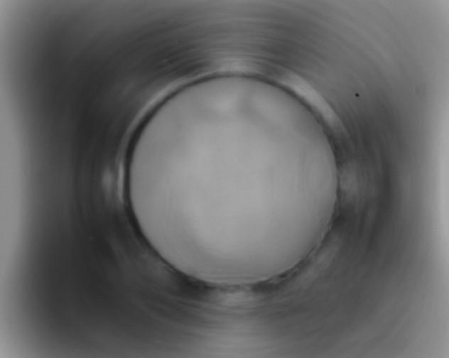 X0000092090886200709262121