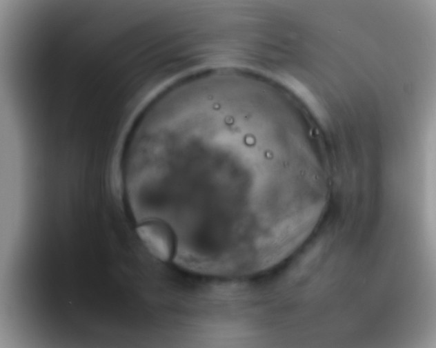 X0000092090887200709262121