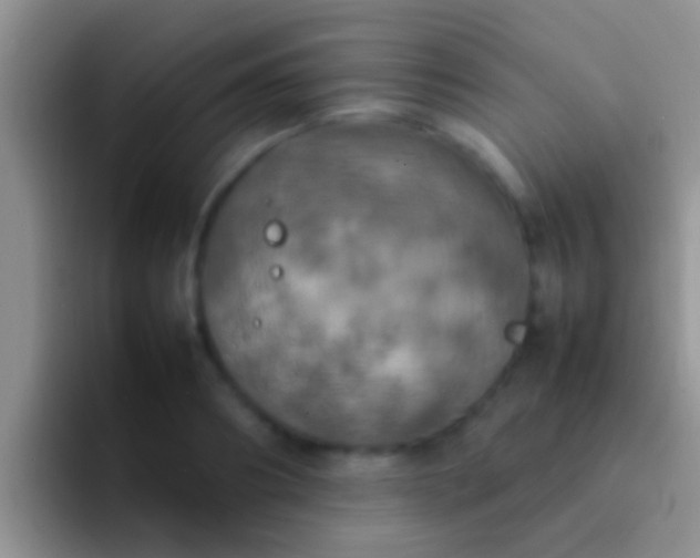 X0000092090890200709262121