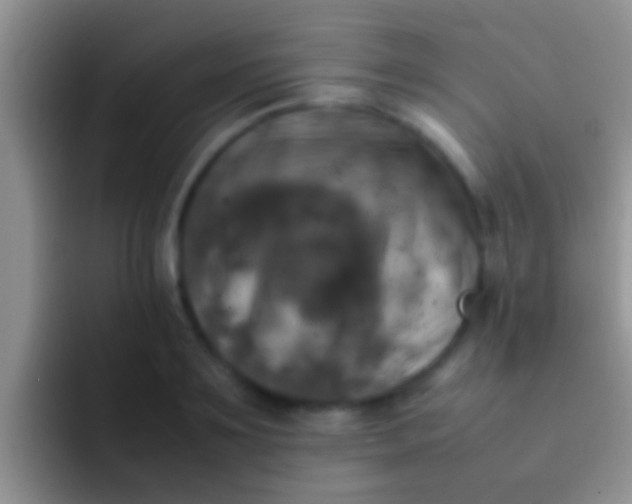 X0000092090891200709262121
