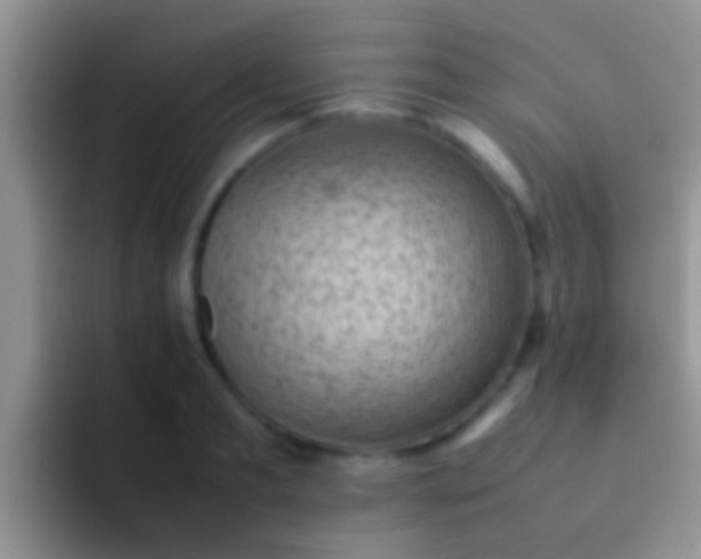 X0000092090893200709262121