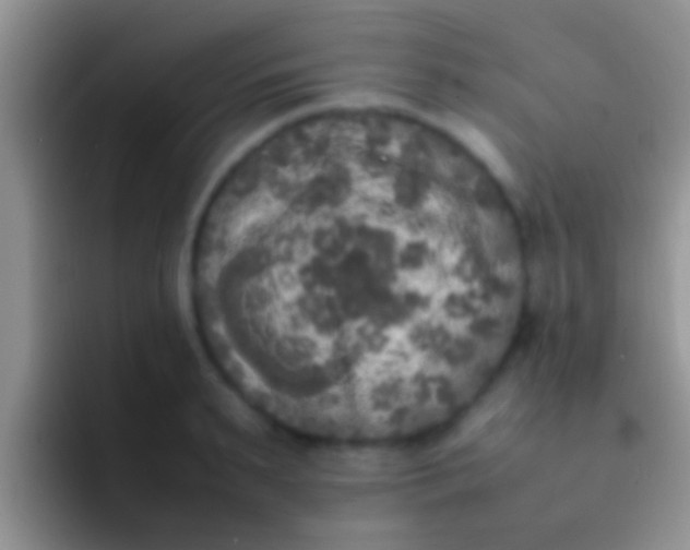 X0000092090895200709262121