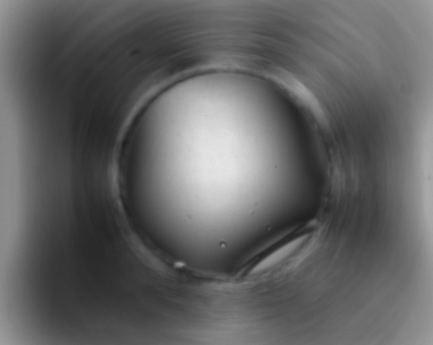 X0000092090896200709262121