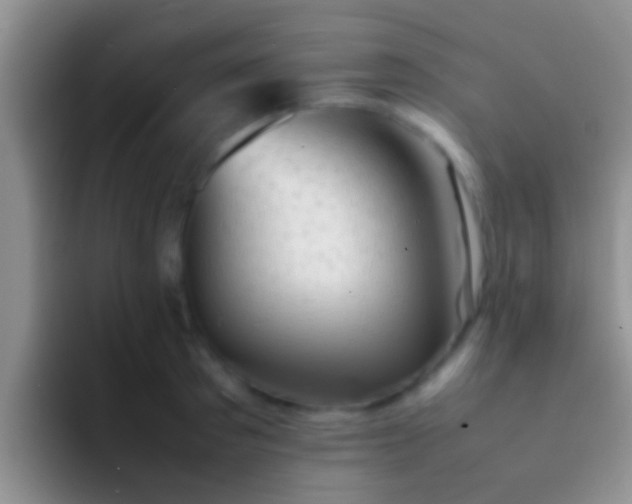 X0000092090897200709262121