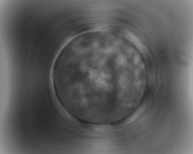 X0000092090899200709262121