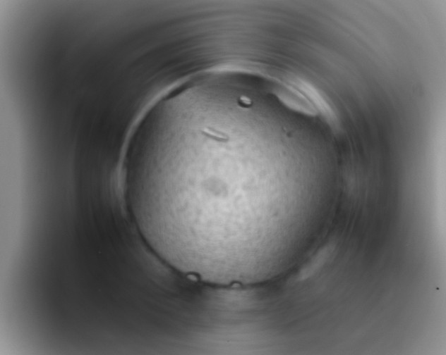 X0000092090900200709262121