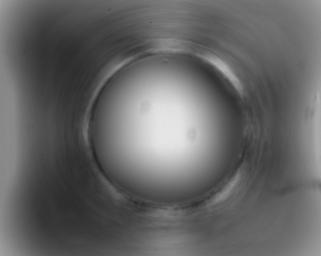 X0000092090901200709262120