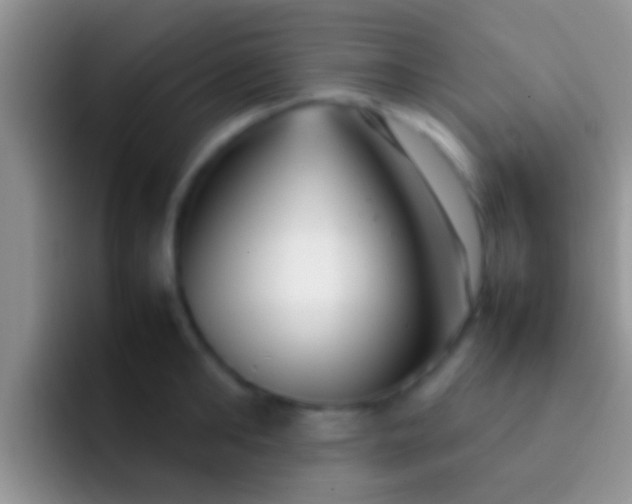 X0000092090902200709262120