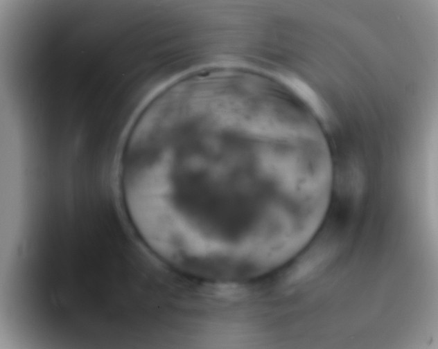 X0000092090903200709262120