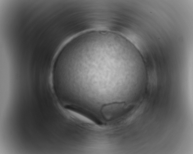 X0000092090904200709262120