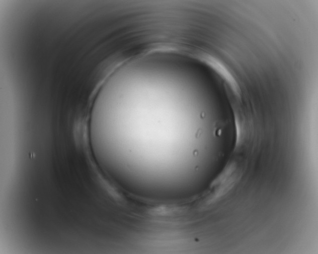 X0000092090906200709262120