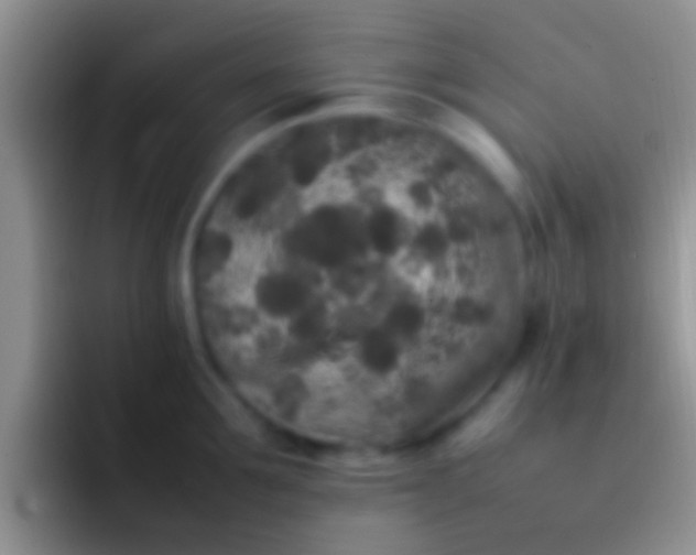 X0000092090907200709262120