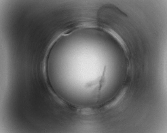 X0000092090909200709262120