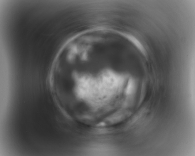 X0000092090911200709262120