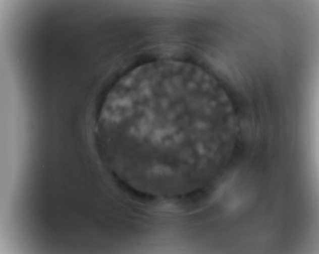X0000092090913200709262120