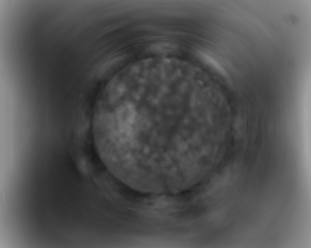 X0000092090917200709262120