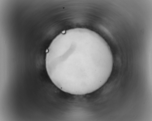 X0000092090918200709262120