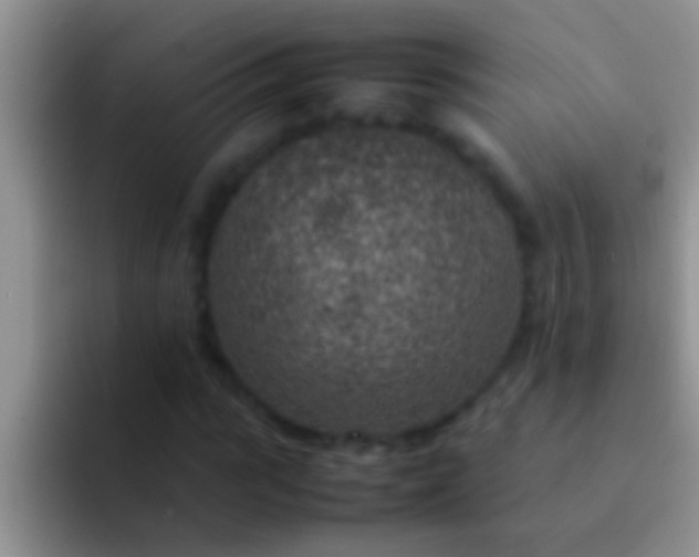 X0000092090919200709262120
