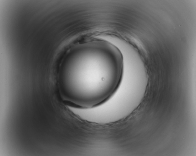 X0000092090920200709262120