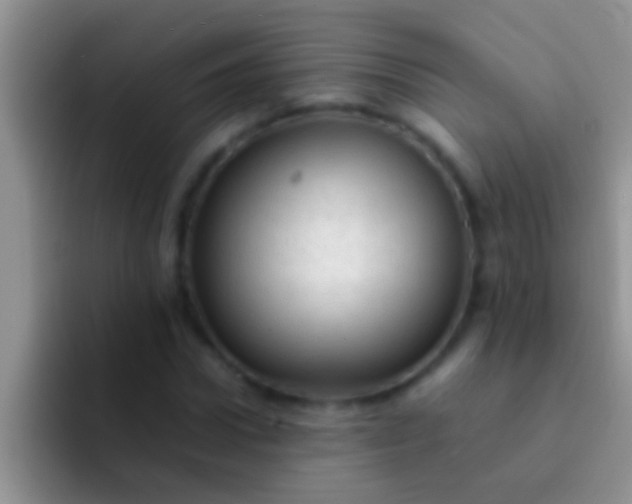 X0000092090922200709262120