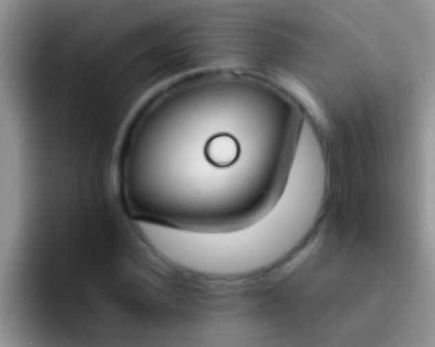 X0000092090924200709262120
