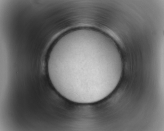 X0000092090926200709262120